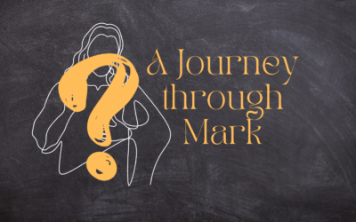 A Journey through Mark